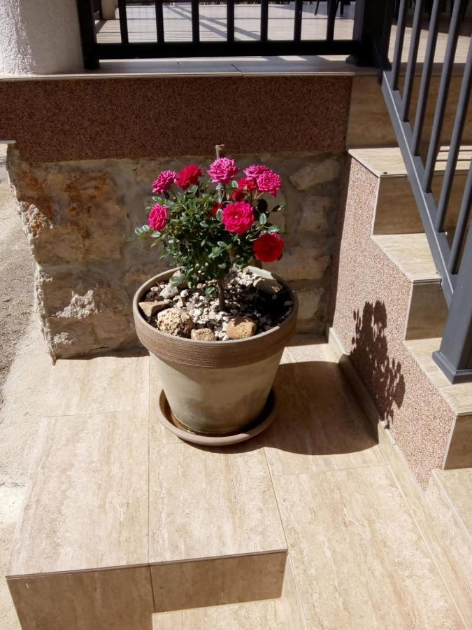Apartment Plitvice Starigrad Exterior photo